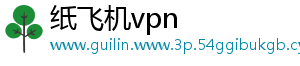 纸飞机vpn